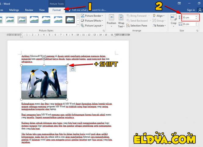 Cara Memasukkan Gambar Ke Microsoft Word « ELDYA.COM